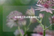 抖音有三百点赞意味什么