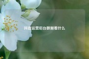 抖音运营后台数据看什么