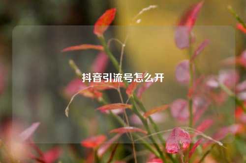 抖音引流号怎么开